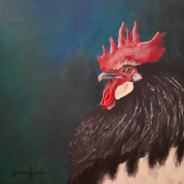 Rooster